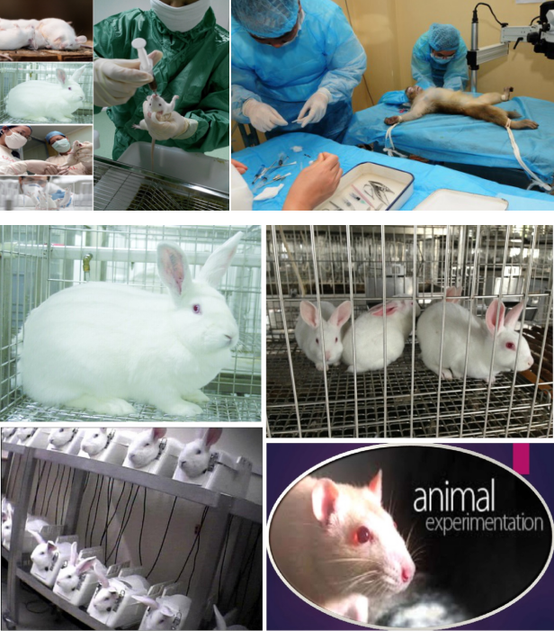 化合物反向?qū)ぐ?5