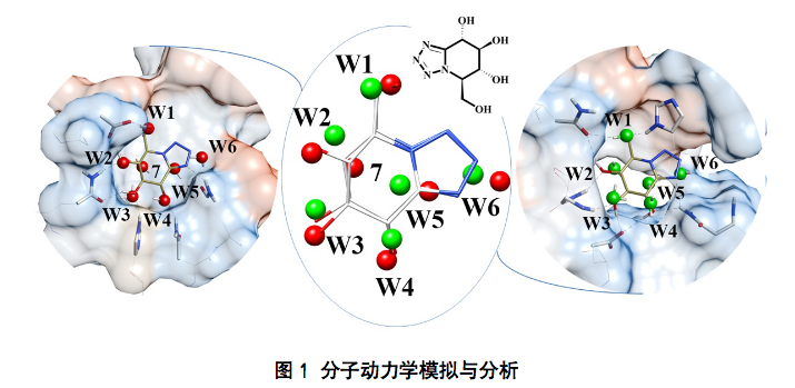 分子動力學(xué)模擬3