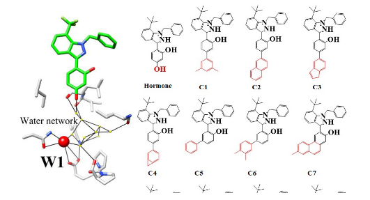 化合物反向?qū)ぐ?