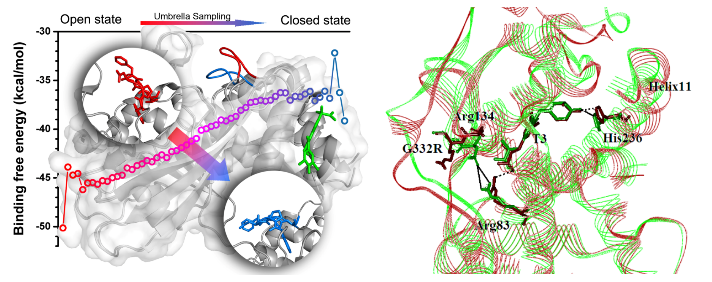 分子動力學(xué)模擬2