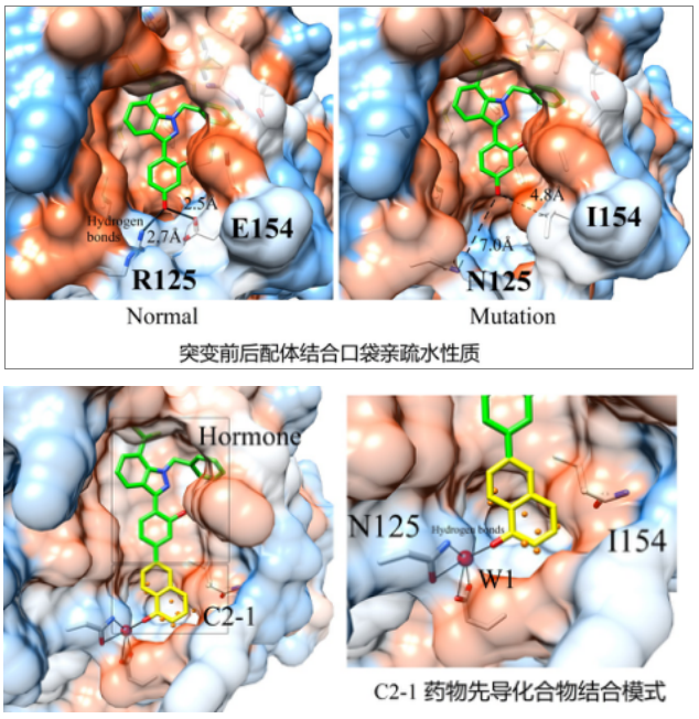 化合物反向?qū)ぐ?4
