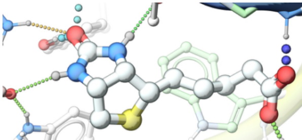 計(jì)算機(jī)輔助藥物設(shè)計(jì)