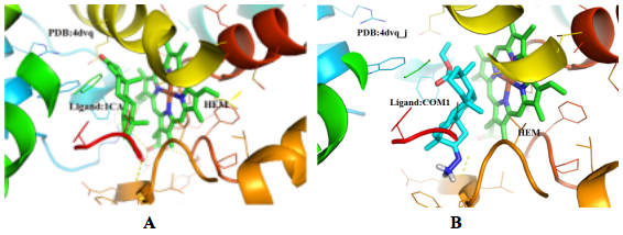 化合物反向?qū)ぐ?