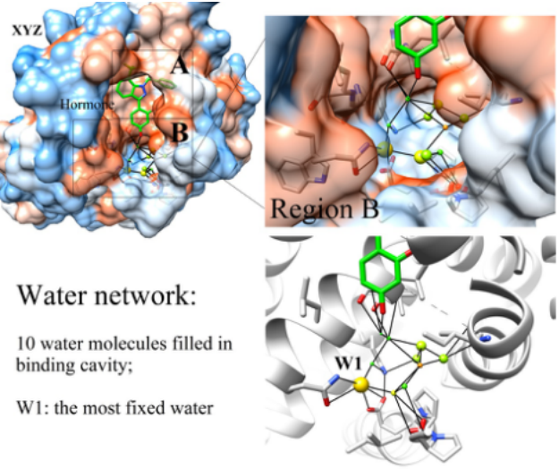 化合物反向?qū)ぐ?