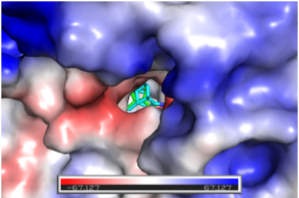 化合物反向?qū)ぐ?